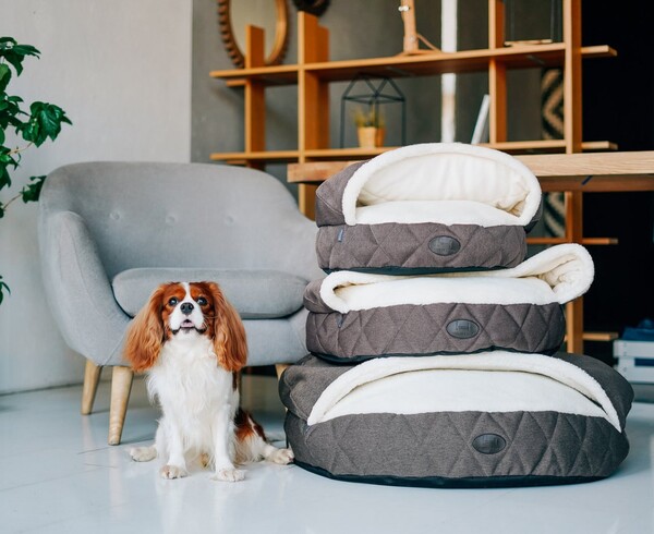 🛏 Lit pour les chiens et les cochons