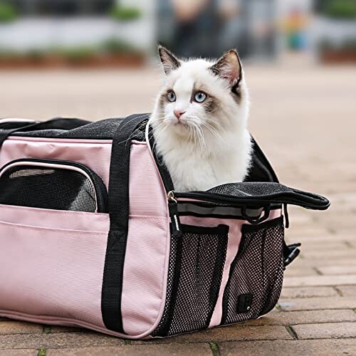 Sac de Transport