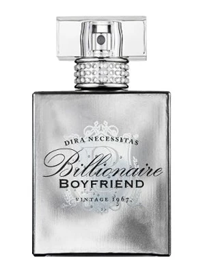 Billionaire Boyfriend