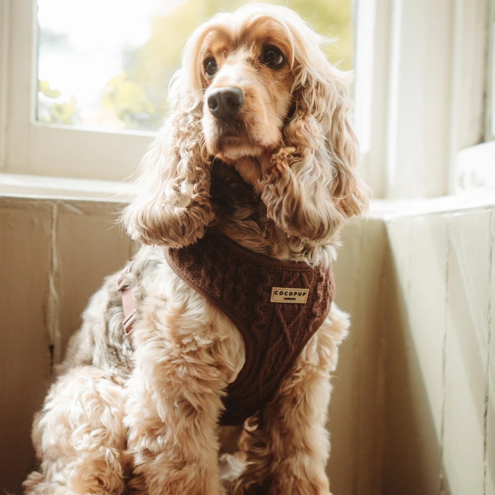Cable Knit Adjustable Neck HARNESS - Hot Coco