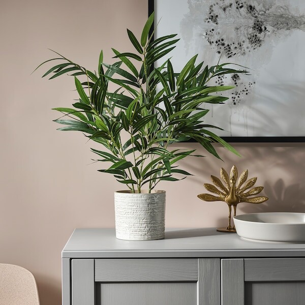 FEJKA Plante artificielle en pot, intérieur/extérieur bambou, 12 cm - IKEA