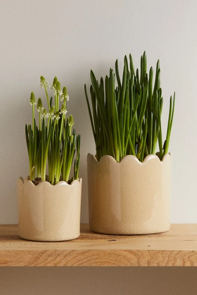 Pot de fleurs avec glaçure craquelée