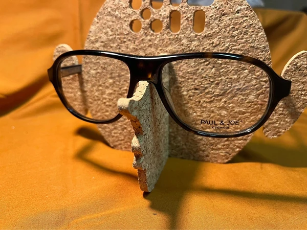 Lunettes homme Paul & Joe