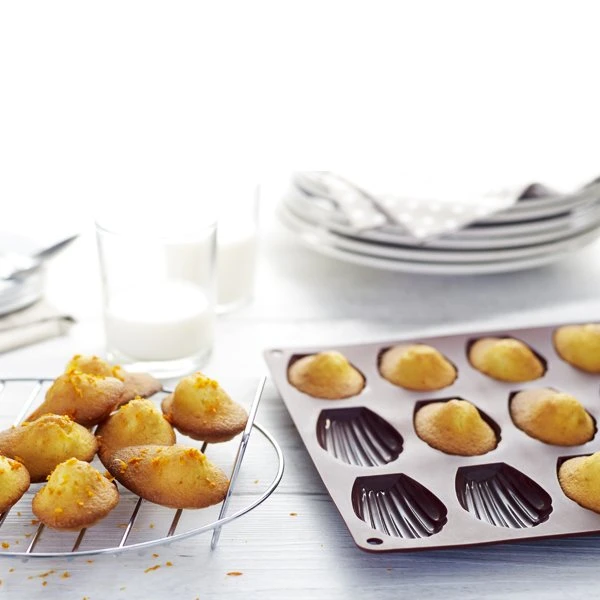 Flexi' Plaque silicone 18 madeleines Mathon
