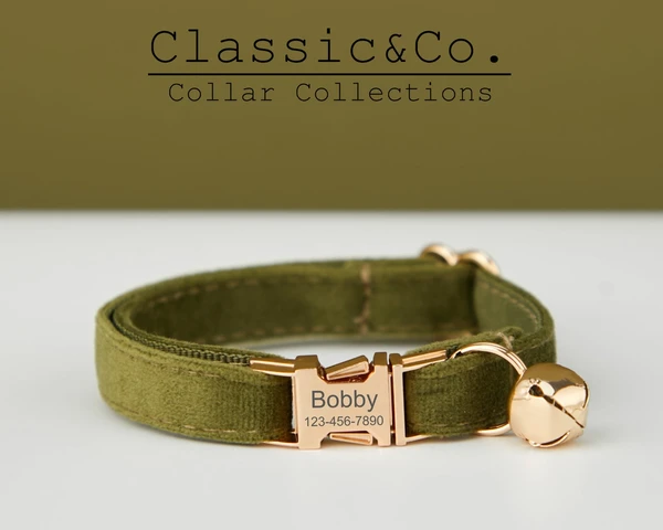 Ensemble de laisses personnalisées avec collier pour chat et petit chien en velours vert militaire, médaille gravée personnalisée pour chiot et chaton, cloche dorée gratuite, cadeau pour animal de compagnie