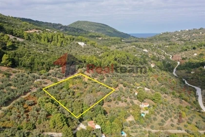 (A vendre) Maison individuelle résidentielle || Magnesia Prefecture/Sporades-Skopelos - 53...
