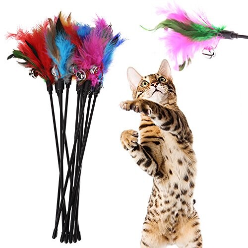 Lot 5 jouets pour chats  