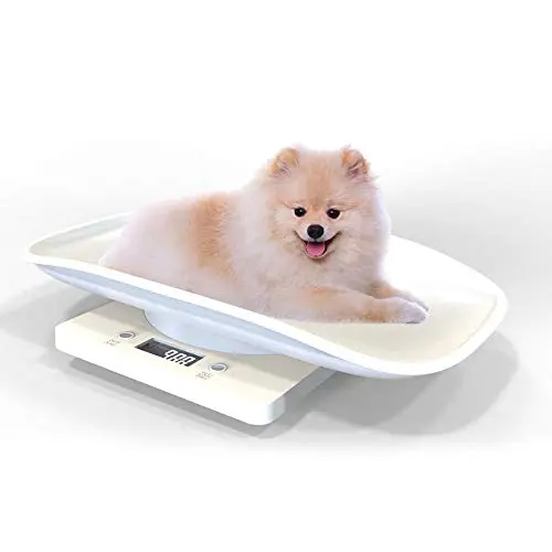 Balance Numérique Pèse-animaux