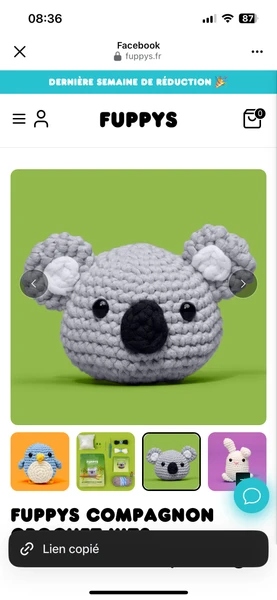 Koala crochet - Fuppys -                     la façon la plus simple et la plus amusante koala si vous êtes un débutant absolu avec des doigts maladroits 🫢Ils vous guident étape par étape, super facilement :🧶 Fil super facile, conçu spécialement pour les débutants🎥 Des tutoriels vidéo pas à pas faciles à suivre🏃🏾‍♀️ Kit pré-démarré qui vous aidera au début avec les bases🤲 Conçu pour les droitiers et les gauchersPlus de 20 000 personnes ont appris le crochet avec Fuppys, et ont adapté un nouveau loisir sain et relaxant. | Fuppys