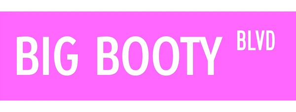 30"x9" Pink Big Booty BLVD Street Signs