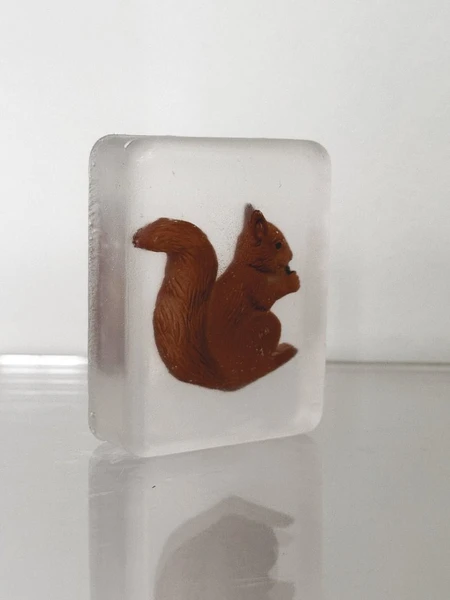 Savon Écureuil 2