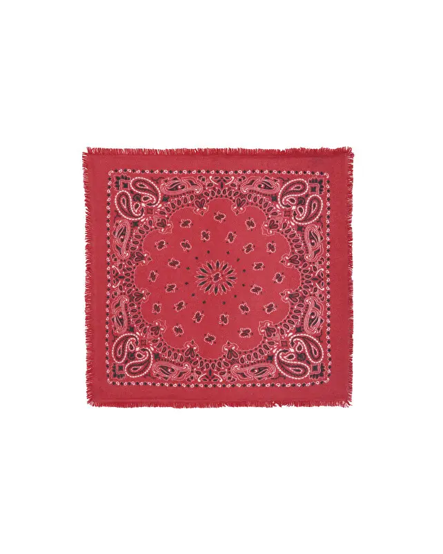 Petit Bandana Hachi