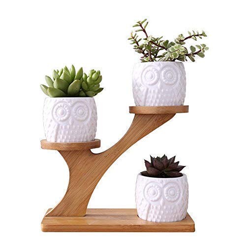 LINGLAN 1 Ensemble de chouette en céramique Pots Pot de Fleur en Céramique de Forme Rond /et Plateau de Bambou/Pots de Cactus/Plante en Pot/Cultiver 1 Paquet de 3