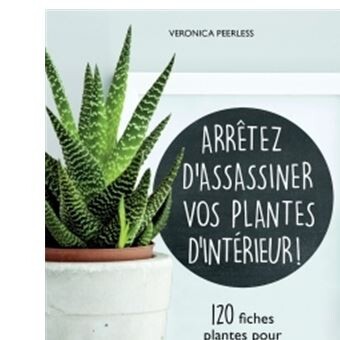 Arrêtez d'assassiner vos plantes d'intérieur