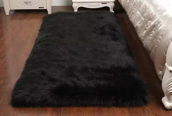 Tapis de chambre (need 2)