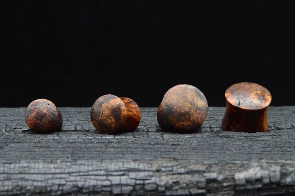 1x Plug Honey Wood 3-12 mm - C1