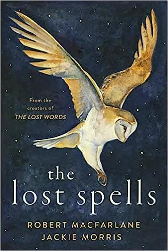 The Lost Spells Hardcover – Illustrated, October 27, 2020