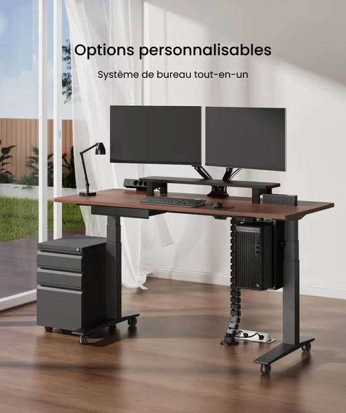 Bureau Assis Debout Électrique Premium E7 Pro -FlexiSpot