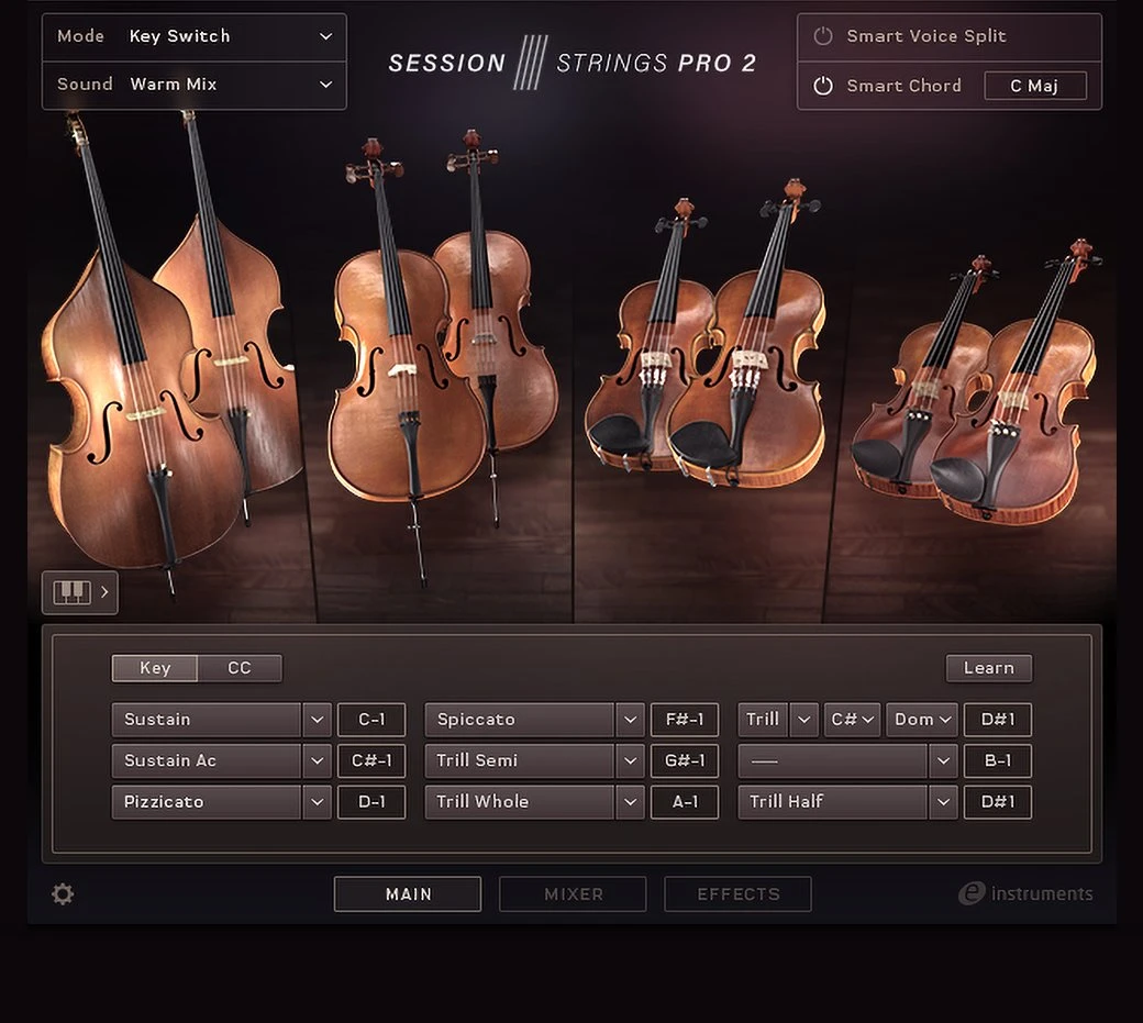SESSION STRINGS PRO 2