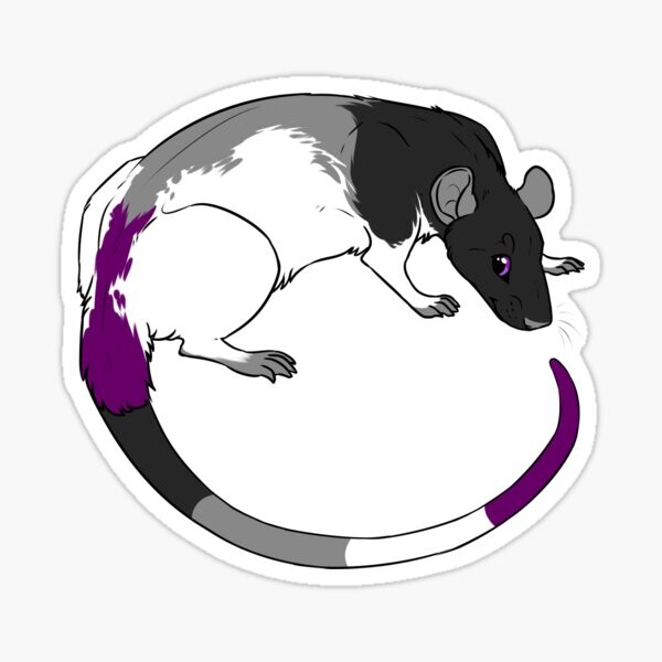 Rat de fierté asexuée | Sticker