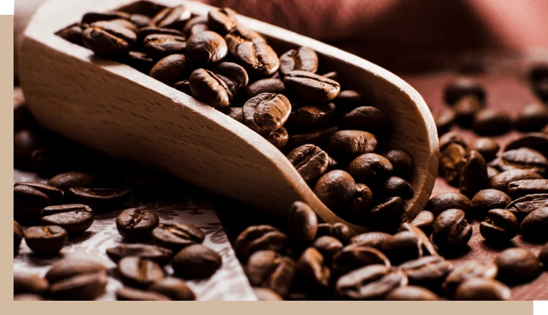 Du bon café en grain