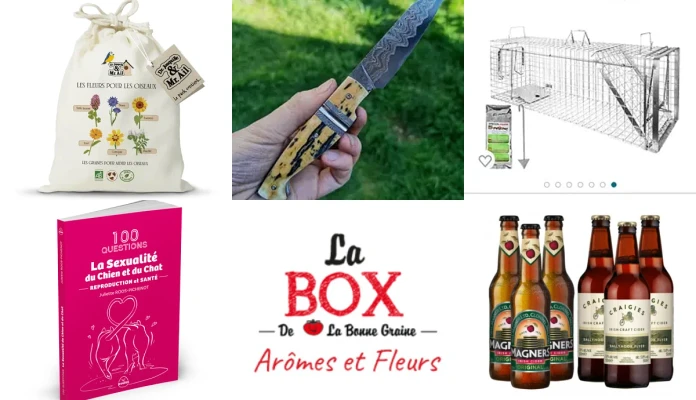 Noël et anniversaire Laure