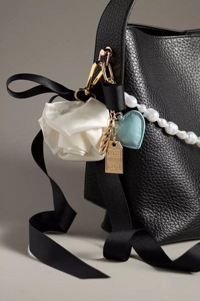 Charme de Sac de Ville