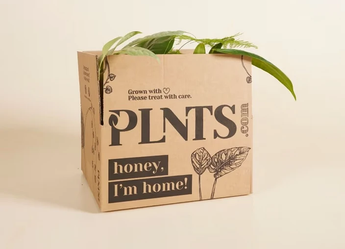 Petit boite surprise plantes