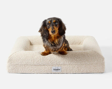 SMALL BOUCLE BED