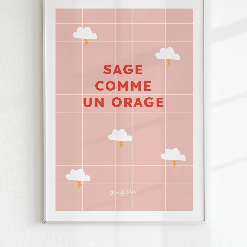 Affiche Sage comme un orage