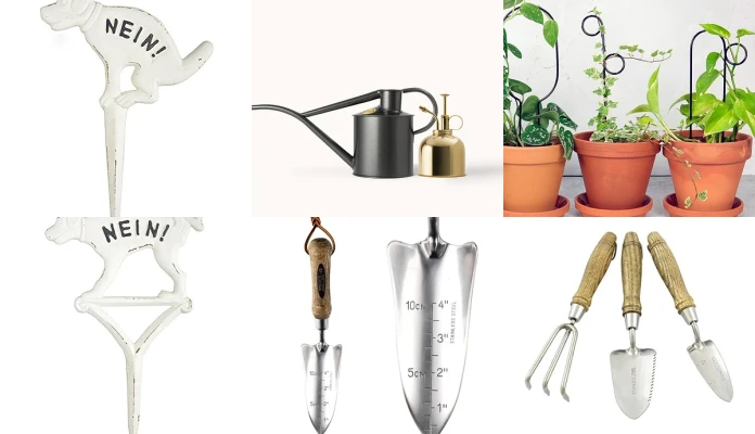 Plantes et accessoires