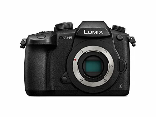 Panasonic | Lumix GH5