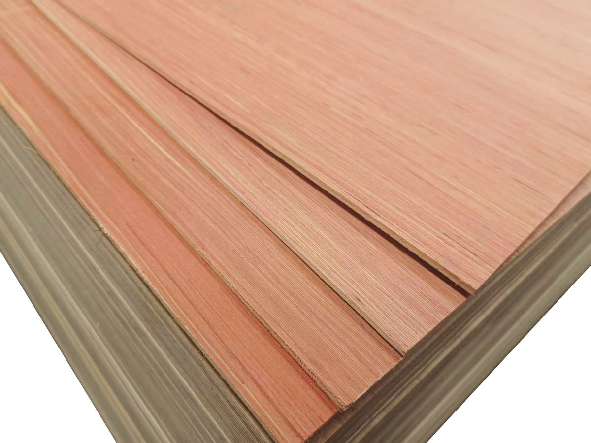 Panneau multiplex Hardwood Plus - Eucalyptus bois dur - 125x61cm - 3,6mm