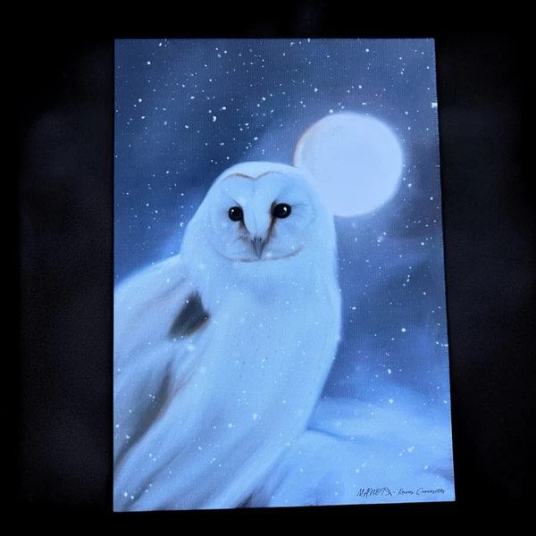 La Chouette des Neiges. Impression A4 et A6