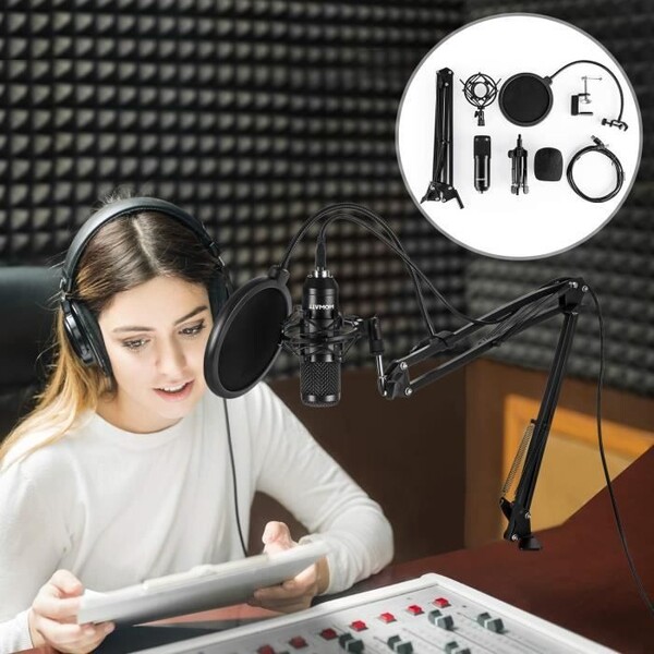 Microphone de bureau