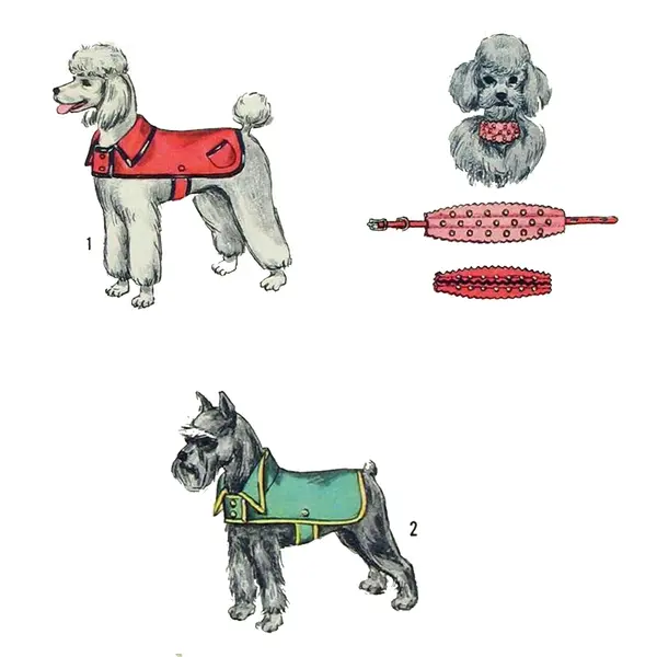 Patron de couture vintage des années 1960, manteau et garniture de collier pour chien - Petit - Chien Petit
