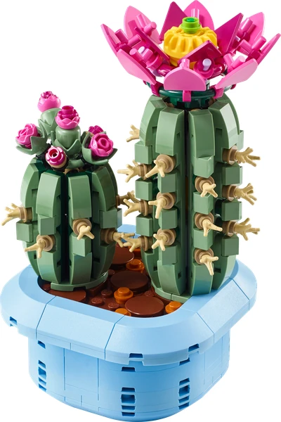 Cactus fleuri