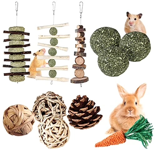 Jouets à Mâcher pour Lapin,11 PCS Jouets pour Petits Animaux,Jouets de Hamsters,Jouets de Cochon D'Inde,Naturel Petits Animaux Mâcher en Bois pour Lapin Nain,Hamster,Cochon D'Inde,Souris,Chinchillas