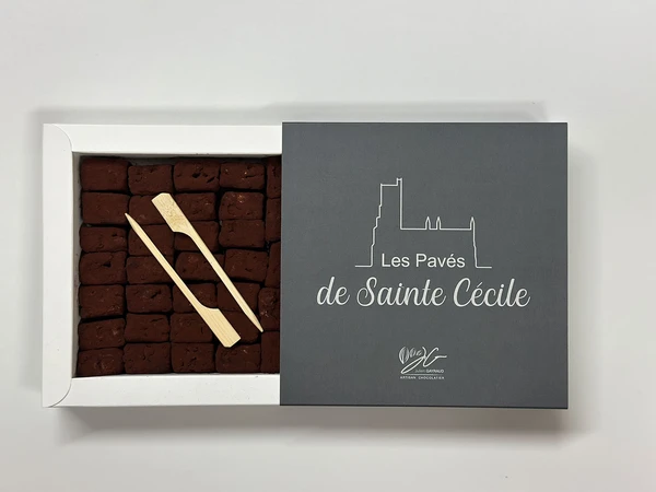 Pavés de Sainte Cécile - Julien Gayraud