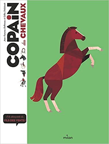 Copain des chevaux: À la découverte des fils du vent : Ballereau, Jean-François, Flouw, Benjamin, Delaborde, Gilles: Amazon.fr: Livres