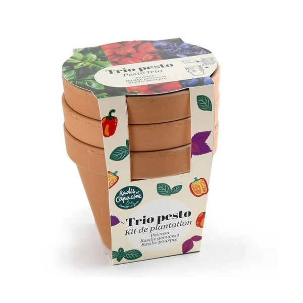 Trio de pots en terre cuite - pesto bio