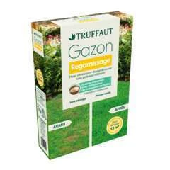 Gazon regarnissage 1 kg truffaut