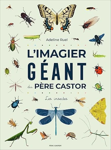 L'imagier géant du Père Castor: Les insectes Cartonné – Illustré, 11 octobre 2023