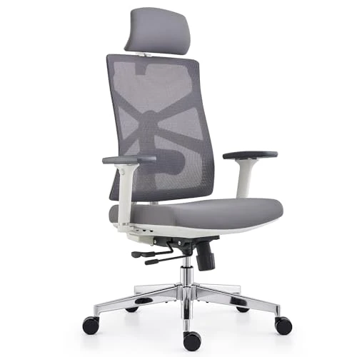 HOLLUDLE Chaise de Bureau Ergonomique avec Dossier Adaptable, Fauteuil D'ordinateur avec Accoudoirs 4D, Profondeur D'assise Réglable, Soutien Lombaire et Appui-tête 2D, Siège de Travail, Blanc