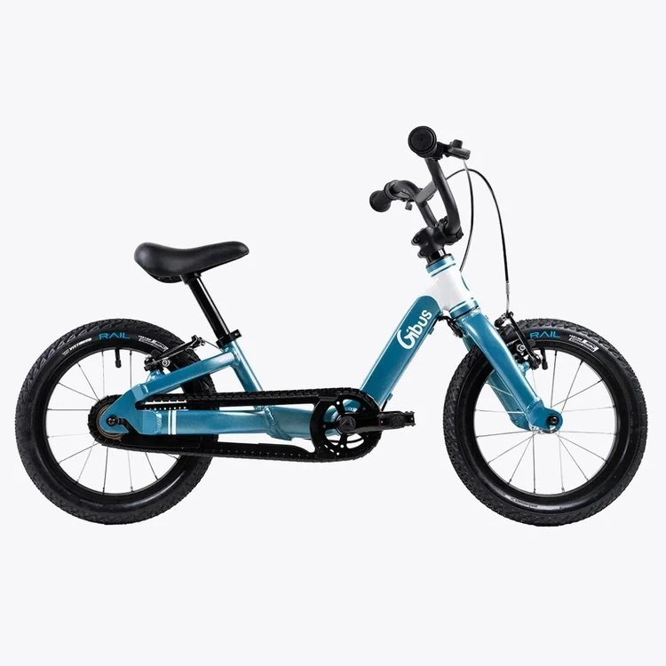 Vélo 14 Pouces Reconditionné - Bleu