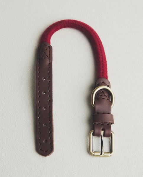 COLLIER CORDE CUIR CHIENS | Zara Home France