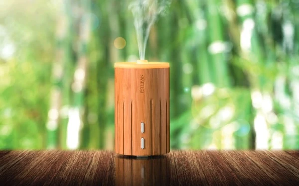 Diffuseur brume de parfum Edition Bois & Lumière Estéban Parfums