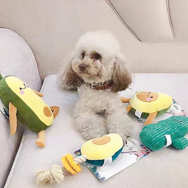 4.11€ 37% de réduction|Jouets en peluche pour animaux de compagnie, plantes mignonnes, série avocat, molaires pour animaux de compagnie, jouets interactifs pour chat et chien, degré de morsure | AliExpress