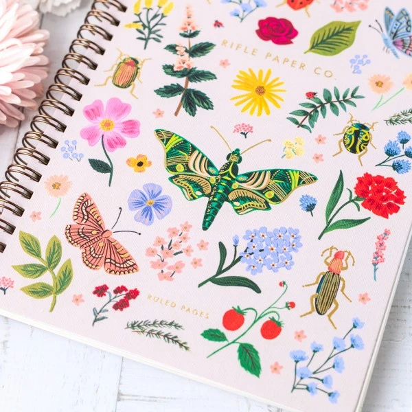 Carnet à spirale - Curio