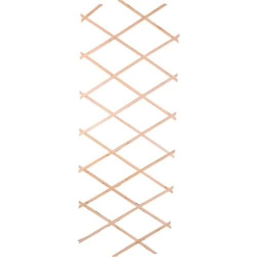 Treillis en bois extensible pour plantes grimpantes - 180x90x0.7cm  | Maisons du Monde
